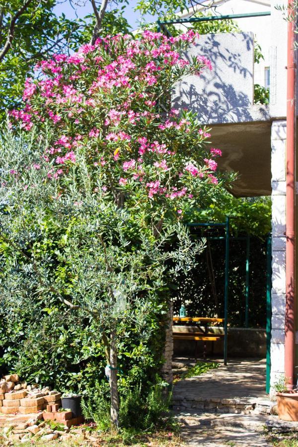 Bilini Garden Apartment Pula Bagian luar foto